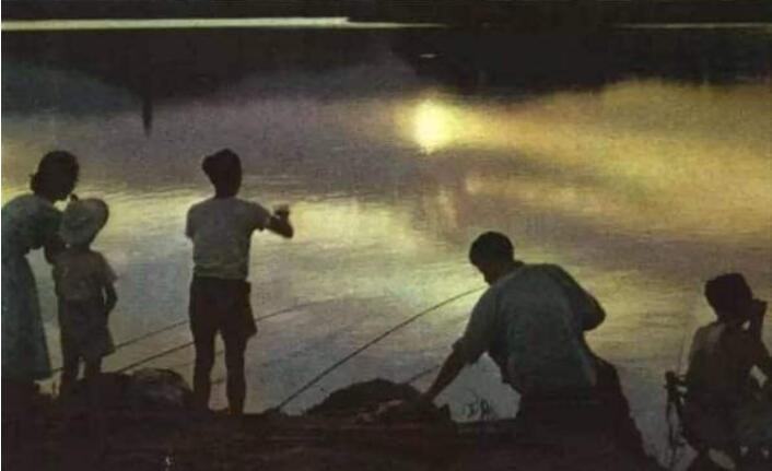 �ú�԰������������ �ú�԰����������ɴ�����