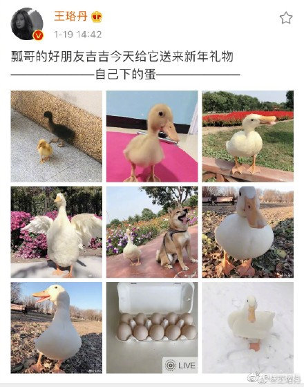 �¶�Ѽ���̸��� �¶�Ѽ�����������ó���