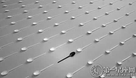 ǿ��֢�������µ�ͼ ������ǿ��֢���ദ