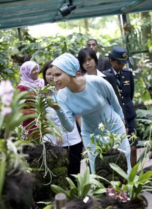 л���������������Ͼ��� ����ʱ�����Ƭ�ܾ���