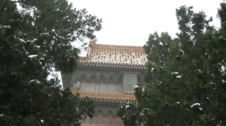 Ϊʲô�������겻��ȥ�� ����ι۵ļɻ�����Щ