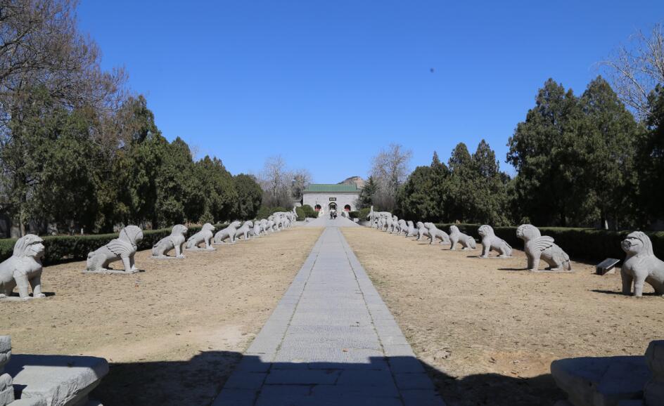 Ϊʲô�������겻��ȥ�� ����ι۵ļɻ�����Щ