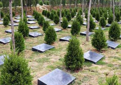 �����ְ�����ʲô˵�� �����ְ���Ӧ����ʲôλ������