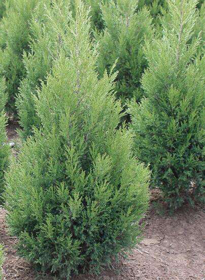 �����ְ�����ʲô˵�� �����ְ���Ӧ����ʲôλ������