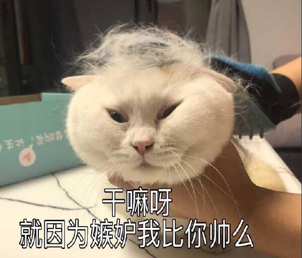 ��Ľ���ʺ޵���ûظ� �����к����׳�����Ľ���ʺ�