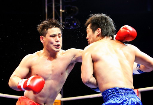 ������������������� ɢ����������˸�����