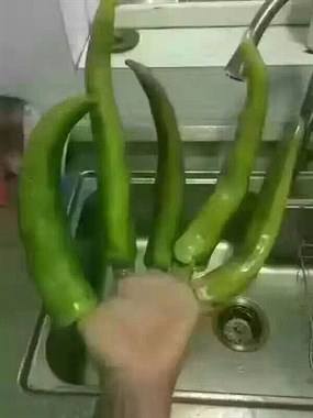 Ů�ݽ���צʲô��˼ Ů������˵�����Ǵ�������