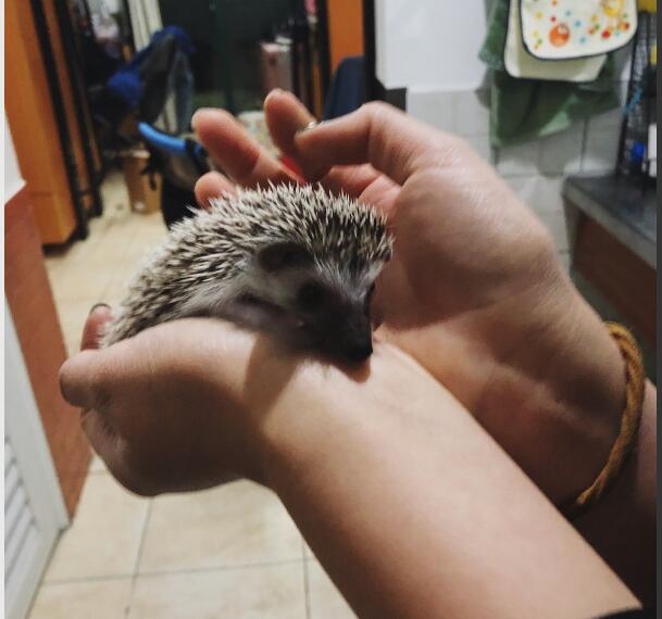 �����Ϊʲô������ ����������ǲ���Ӱ�����