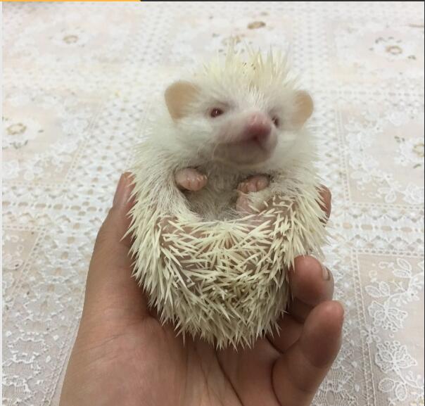 �����Ϊʲô������ ����������ǲ���Ӱ�����