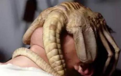 ���α�����ԭ����ʲô �������б�������