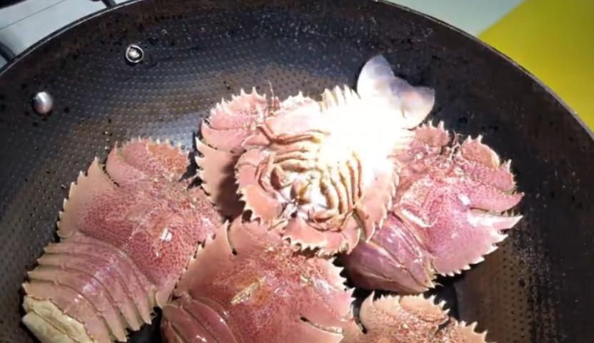 异形抱脸虫原型是什么 地球上有抱脸虫吗