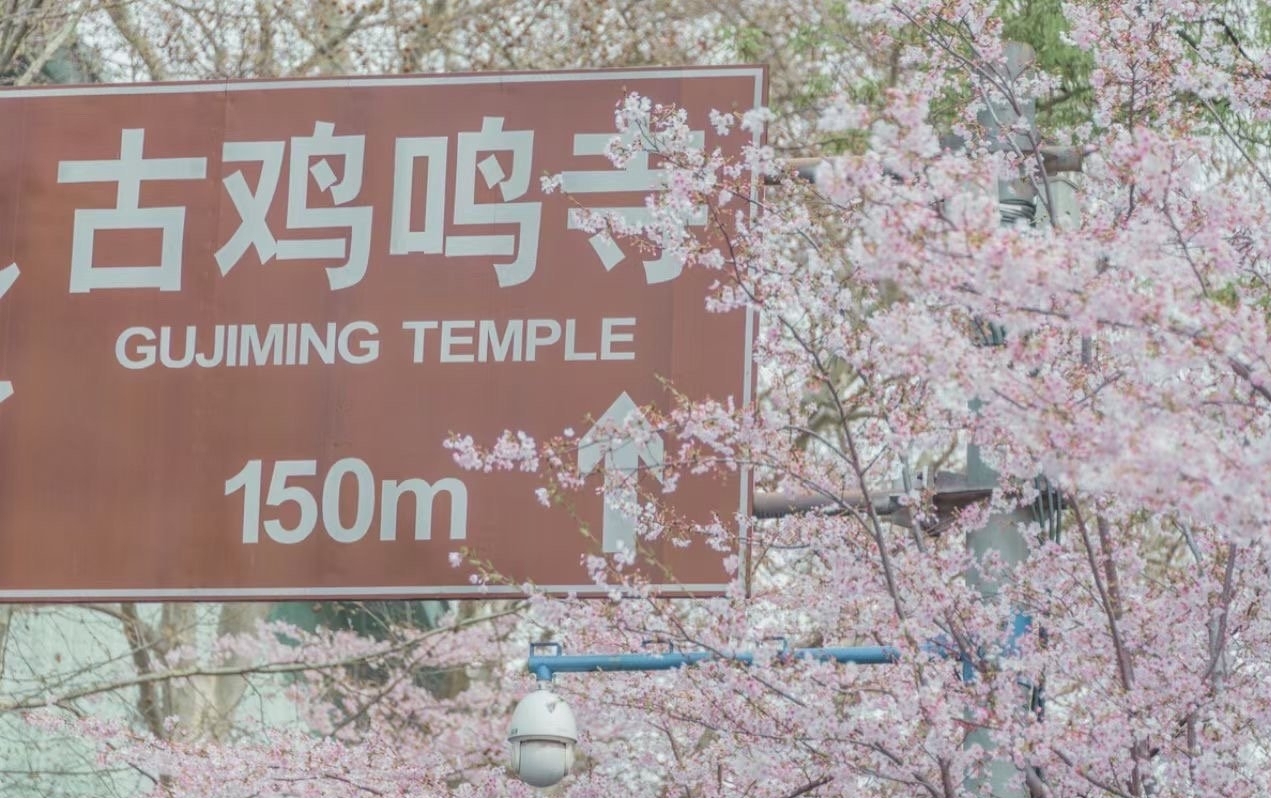 �����µ�ӣ������ʲô��˼ �������й��˵�����