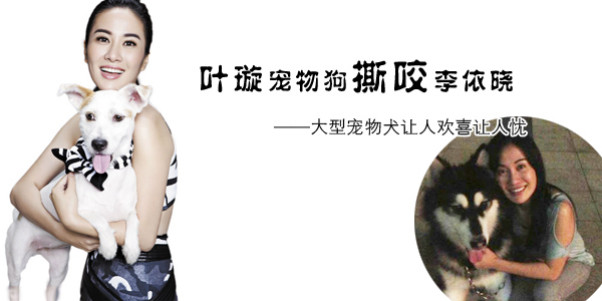 ��������Ҷ诹�ҧͼƬ ������Ҳ��Ҷ诵Ĺ�ҧ��