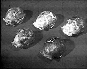 史上最为神秘的四个头盖骨价值连城 玛雅水晶头盖骨的神秘事件令人惊奇