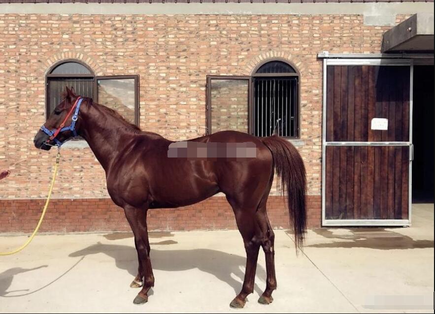 ��ʵ�ĳ�������ʲô��ͼ ������������������һ��ʲô��