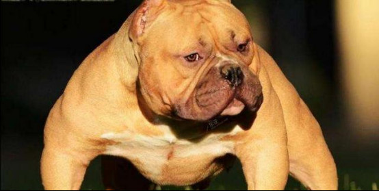 ���Ȯ����ҧ��ҧ���й������� ���Ȯʲô��ô��ô�༡��