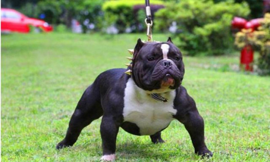 ���Ȯ����ҧ��ҧ���й������� ���Ȯʲô��ô��ô�༡��