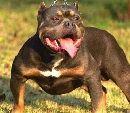 ���Ȯ����ҧ��ҧ���й������� ���Ȯʲô��ô��ô�༡��