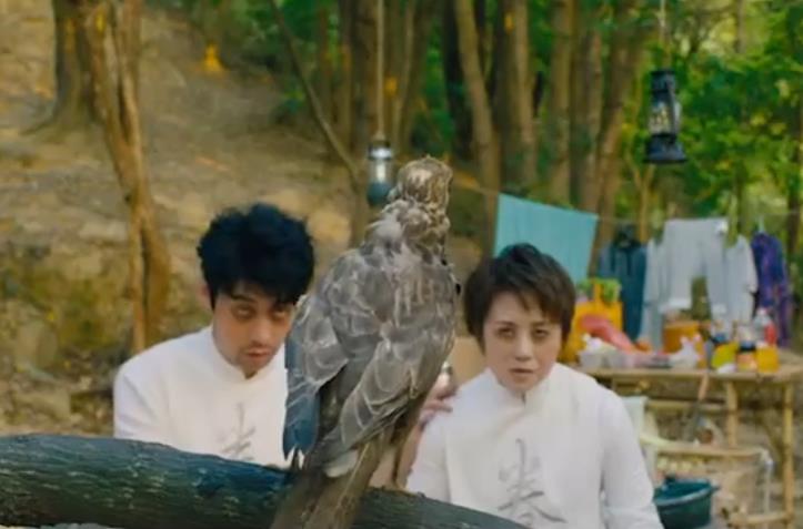 ��ӥ��������ʲô��˼ ��ӥΪʲô���ܻ���