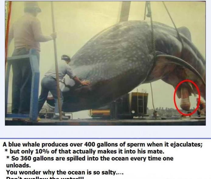 �������϶��ж�� ʷ�����������峤����