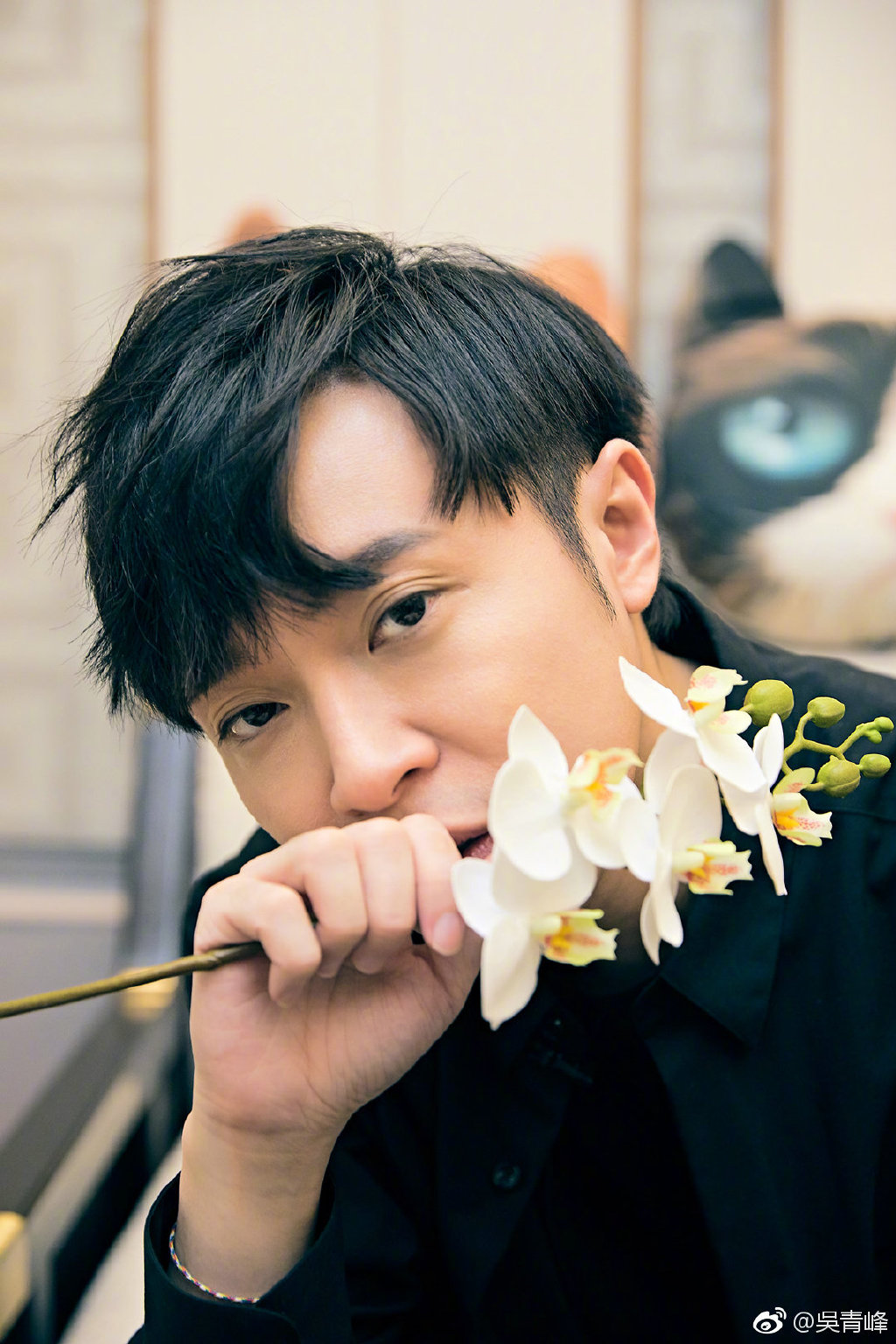 �����Ϊʲô��Ӣ��Ѫͳ ������������