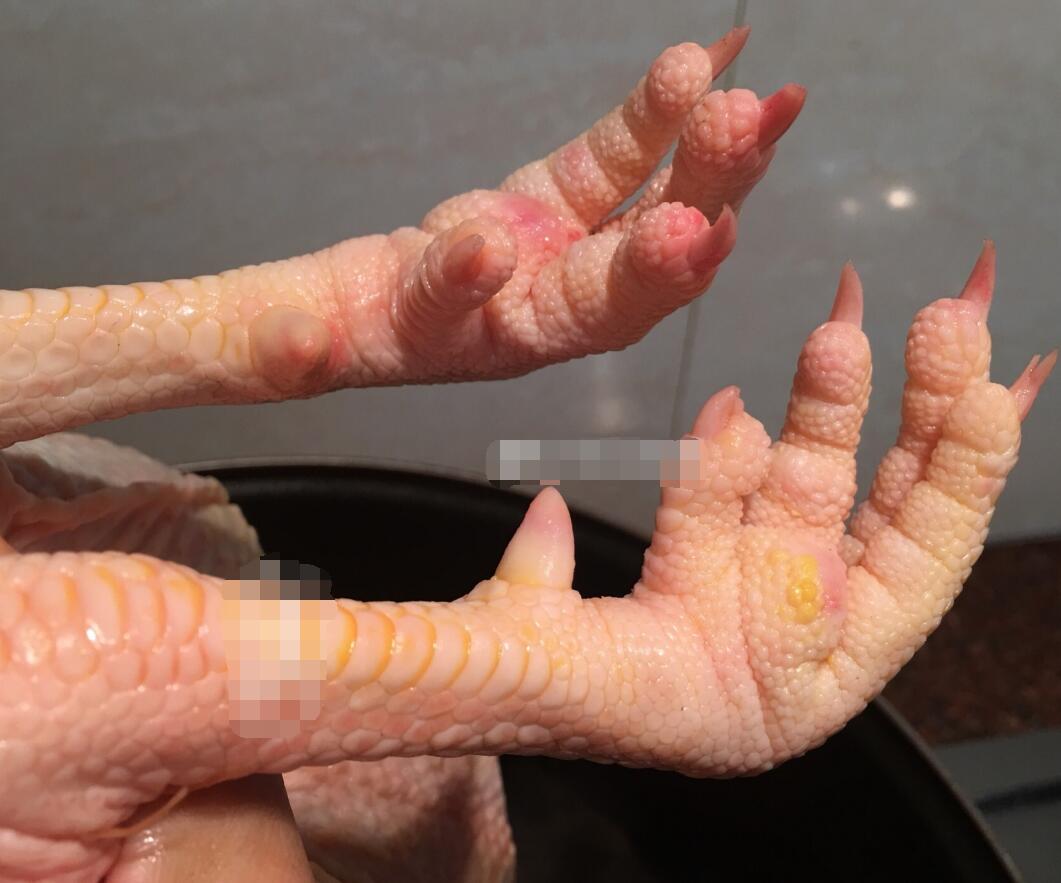 ����Ѫ��аʹ�÷��� ����ѪΪʲô���Ա�а