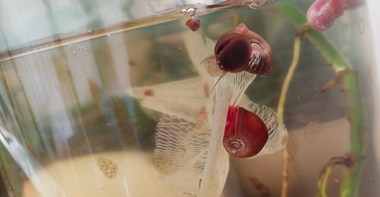 ƻ���ݱ��׵ĺô���Σ���ֱ���ɶ ƻ���ݳ���ʺ��