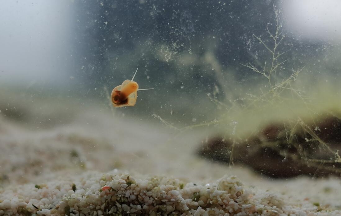 ƻ���ݱ��׵ĺô���Σ���ֱ���ɶ ƻ���ݳ���ʺ��