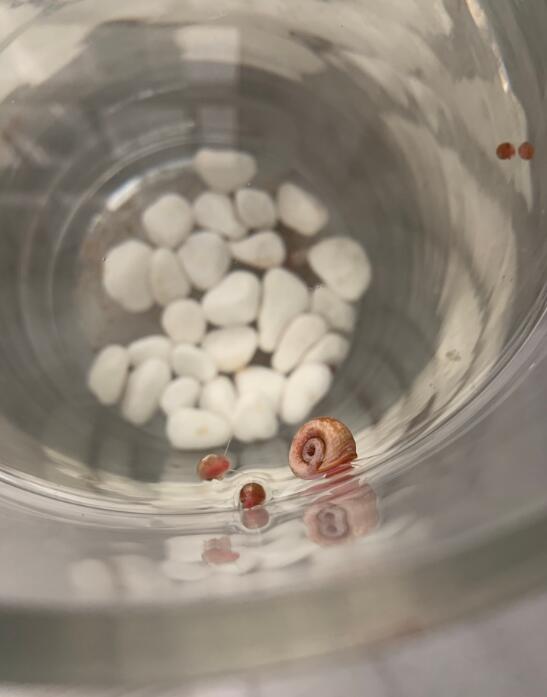 ƻ���ݱ��׵ĺô���Σ���ֱ���ɶ ƻ���ݳ���ʺ��