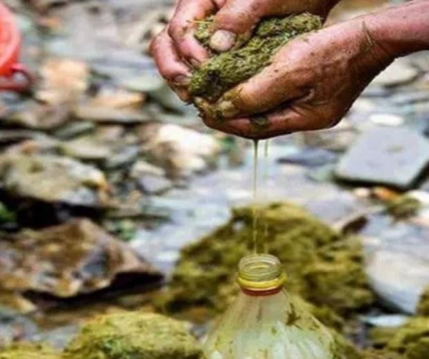 ţ�����������ţ�������� ţ������ʲô��Ч