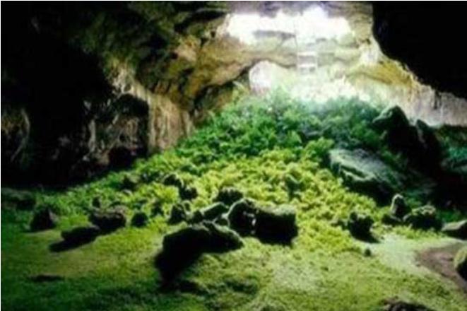 ӡ��צ�۹ȶ��ڲ�ͼƬ ���浽����ʲô�ƽ�����
