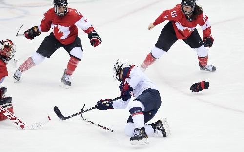 ����ͱ�����ʲô���� �����ǰ��˻���Ŀ��