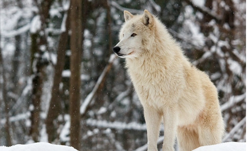 ����������µ��� ���ܹ��������