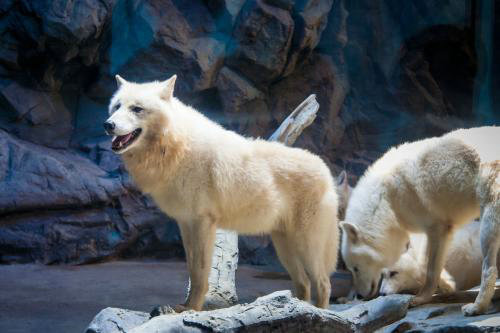 ����������µ��� ���ܹ��������