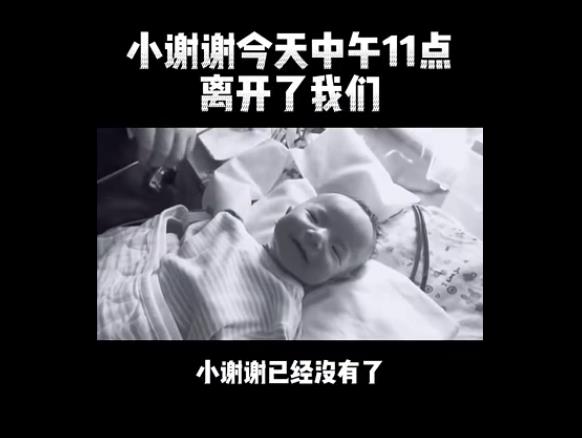 Сллʲô�� СллΪʲô������������