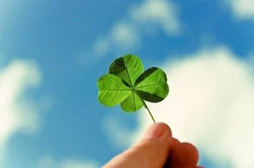 Ϊʲô��Ҷ�������˲� ��Ҷ�ݺ���Ҷ�ݵ�����ͼ