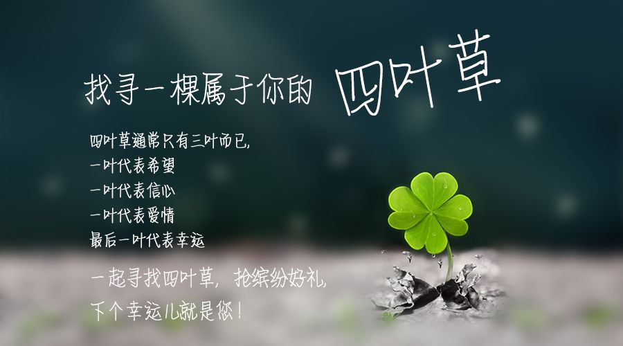 Ϊʲô��Ҷ�������˲� ��Ҷ�ݺ���Ҷ�ݵ�����ͼ