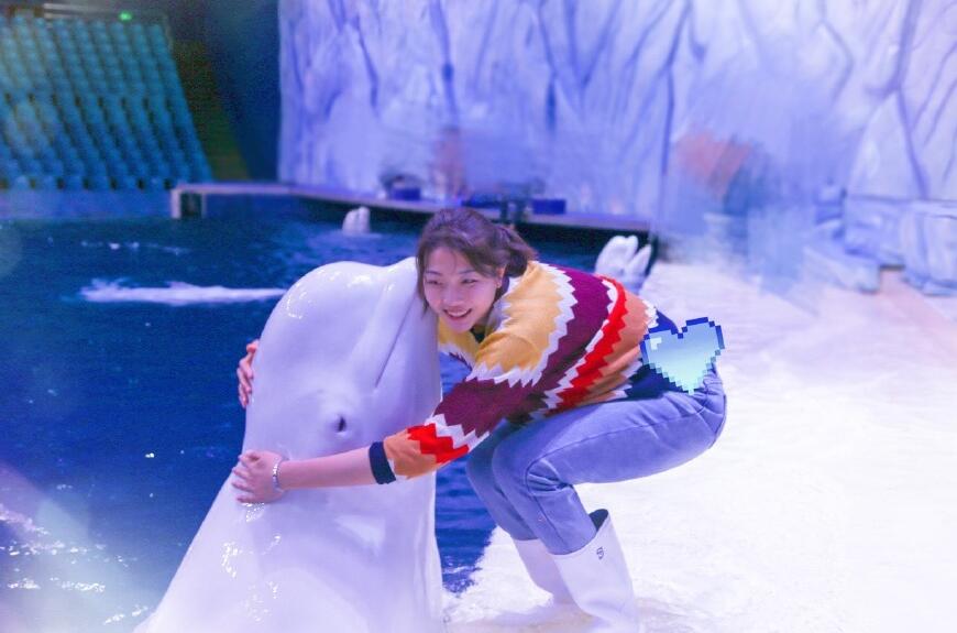 Ԭ�īh�������Ͻ��� Ԭ�īhΪʲô����������