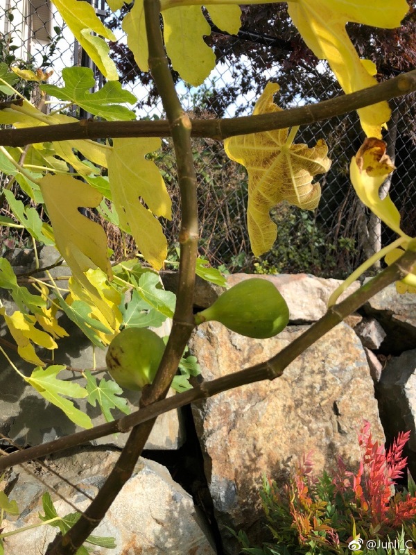 �޻������������� �����˶�˵�޻���������