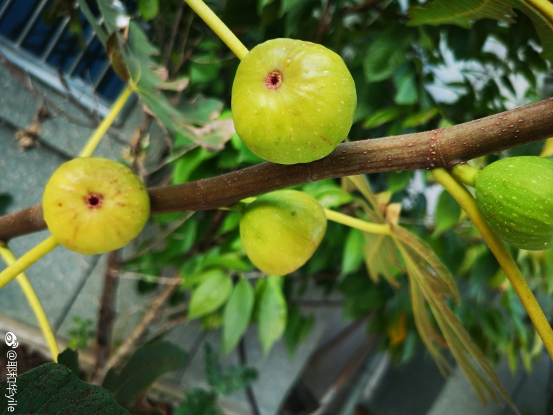 �޻������������� �����˶�˵�޻���������