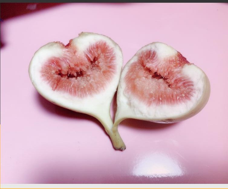 �޻������������� �����˶�˵�޻���������