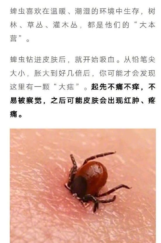 ���Ϊʲô��ҧ���� �����ҧ����ô�����ȫ