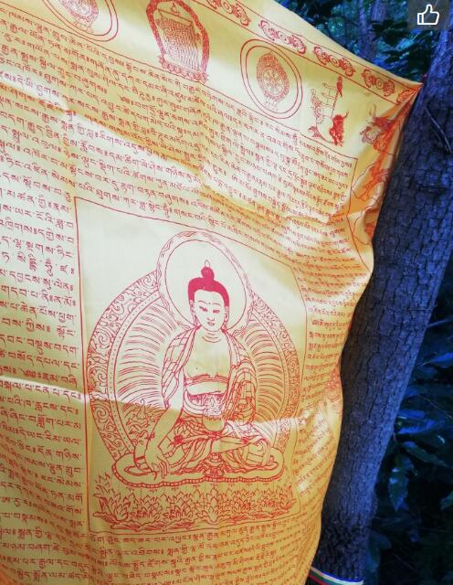 ���꾭��ô��������� �����Ч�Ļ���������