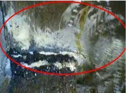 ��ɯ���ú����¼����� �����ɯ����Ůʬ���ư�����