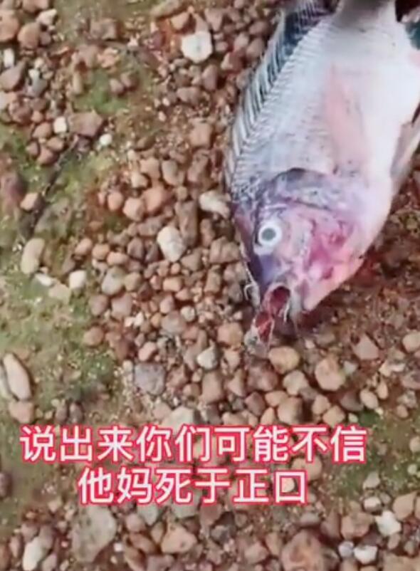 ���������ո˾���ʲô��˼ ����������ʲôԭ��