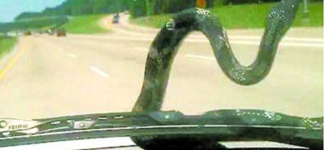 ����ѹ������ʲô˵���ɻ� ����·�������ߺᴩ��·����