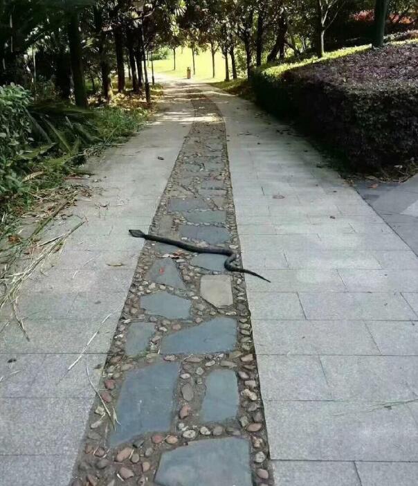 ����ѹ������ʲô˵���ɻ� ����·�������ߺᴩ��·����