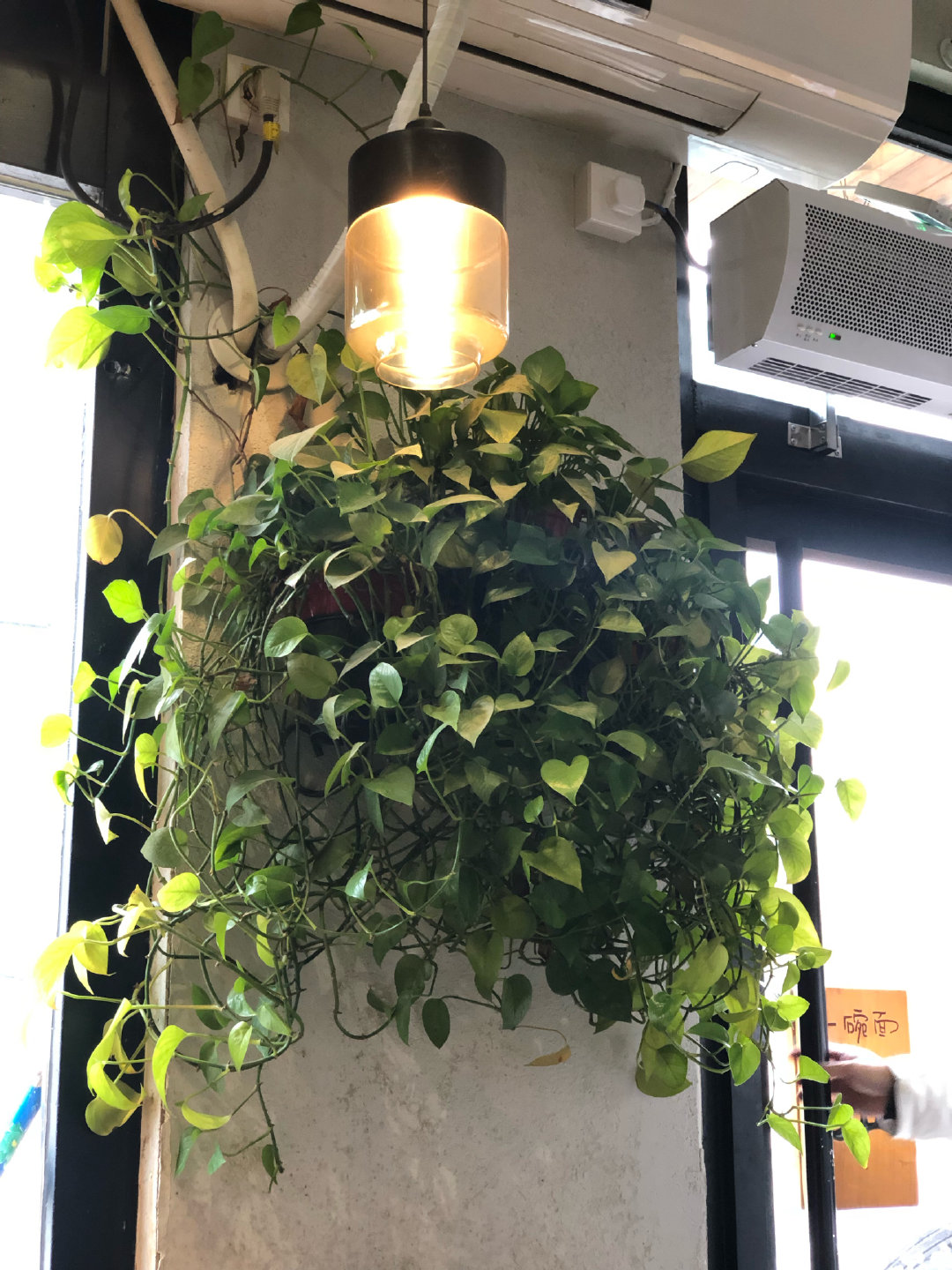 ������а��������� ���ܼҶ�����������ô����