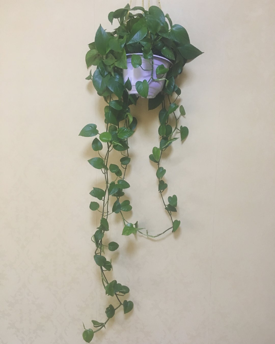 ������а��������� ���ܼҶ�����������ô����