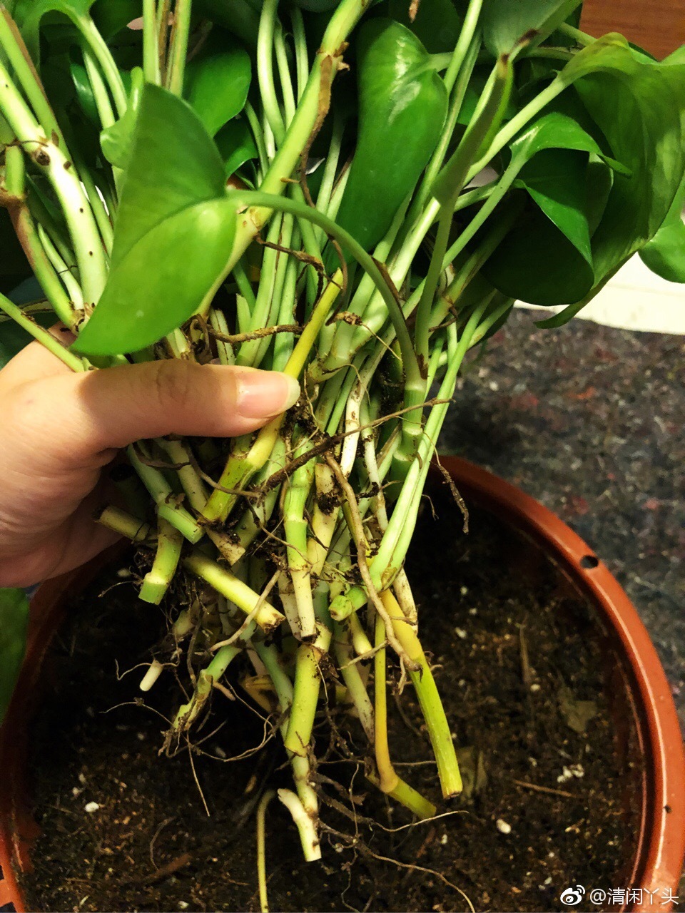 ������а��������� ���ܼҶ�����������ô����